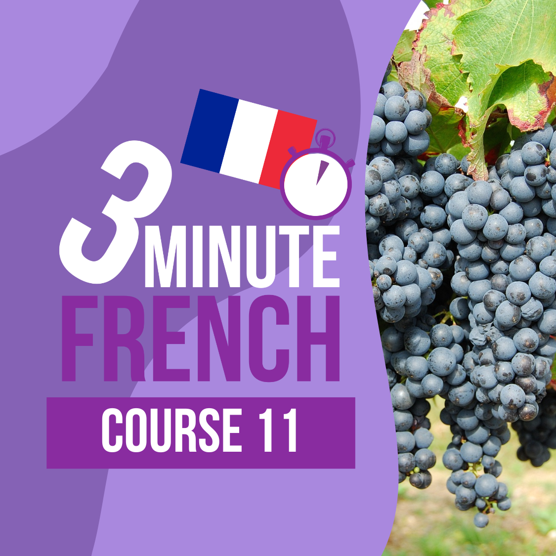 3 Minute French - Course 11