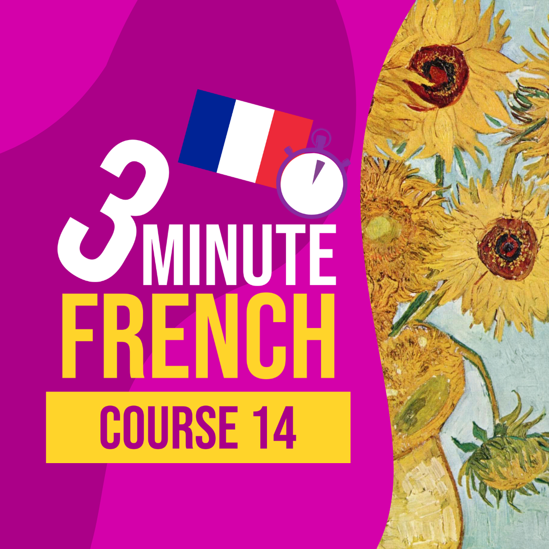 3 Minute French - Course 14